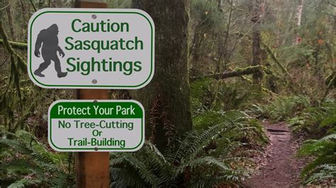 Sasquatch Watch Bigfoot Sightings Over The Years Latest News Videos