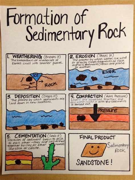 Formation Of Sedimentary Rock Earth Science Lessons Science Anchor