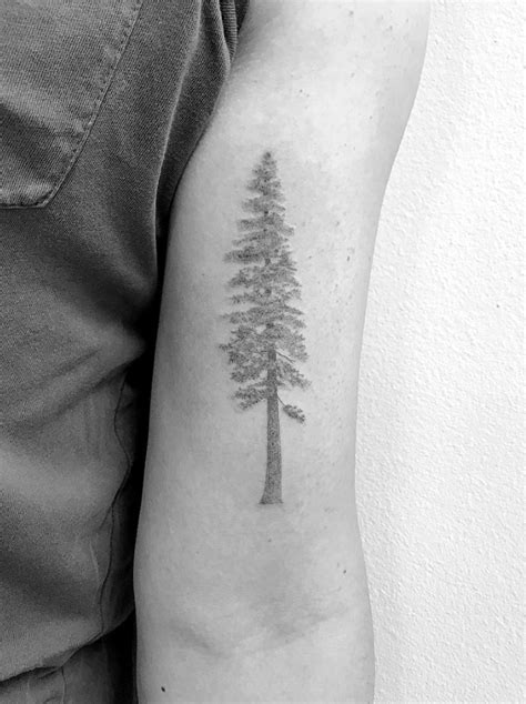 Redwood Tree Dad Tattoos Tattoos For Guys Tree Tattoos Tatoos Dr