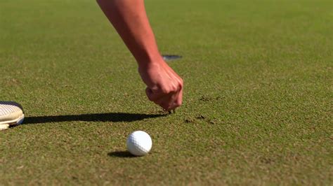 Repairing Damage On Putting Green Become A Rules Guru With England