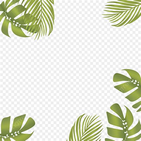 Sommer Tropische Blätter Rahmen Grünes Laub Palme Dekoration