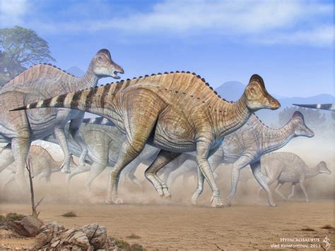 Hypacrosaurus Paleontology World