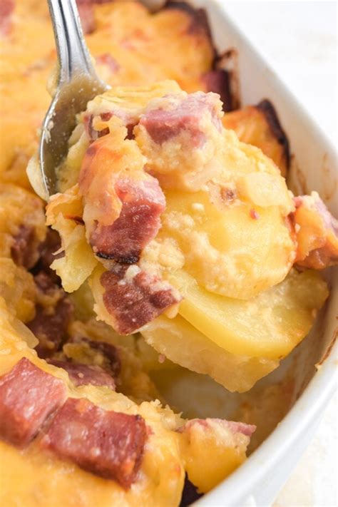 Cheesy Ham And Potato Casserole 40 Aprons