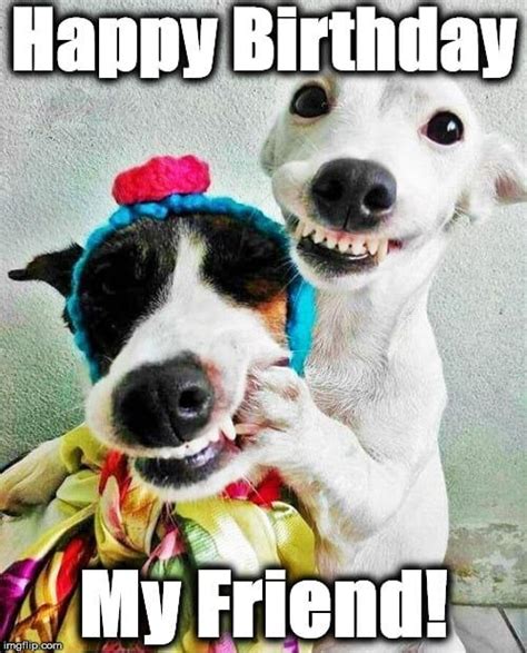 For The Dog Loving Friend Happy Birthday Wishes For A Friend Funny