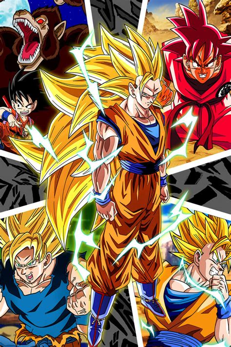 Support characters in dragon ball z: Dragon Ball Z Poster Goku Forms DBZ 12inches x 18inches ...