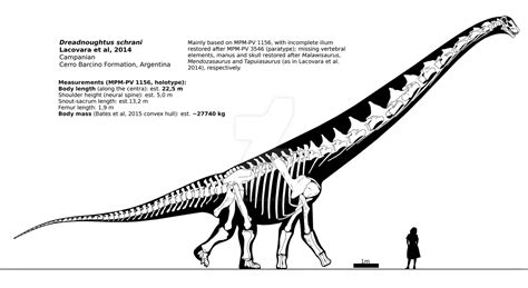 Dreadnoughtus Schrani Skeletal Reconstruction By Randomdinos On Deviantart