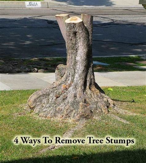 4 Ways To Remove Tree Stumps