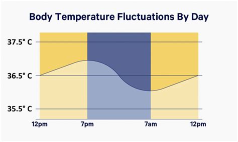 Does Body Temperature Vary During The Day Feverscreen