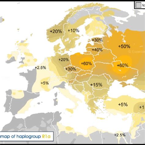 Haplogroup I1 Distribution Download Scientific Diagram