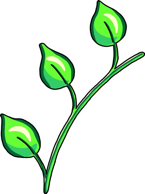 Jen Tennille Illustration And Design Stem Of Plants Clip Art Png