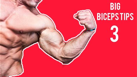 Supercharge Your Arm Muscles Proven Techniques For Fast Results 3