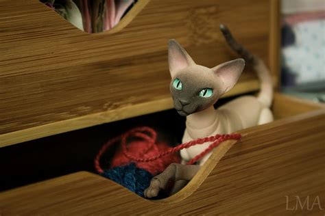 Edith Goes Exploring 5 Cat Doll Cats Pets
