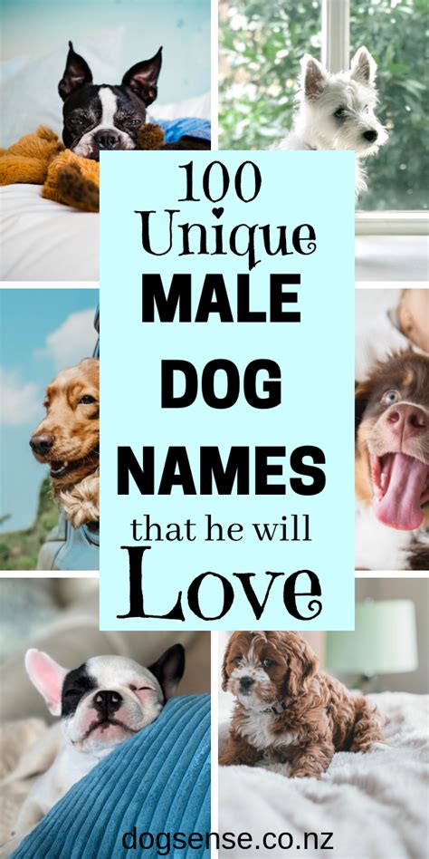Male Dog Names Worth Calling Dog Names Boy Dog Names Unique Boy Dog