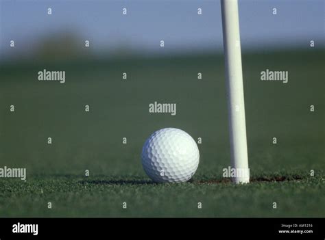 Golf Ball Rolling Into Cup Stock Photo Alamy