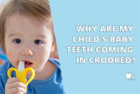 Why Are My Childs Baby Teeth Coming In Crooked Arctic Dental