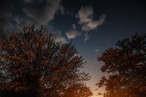 Autumn Night Sky