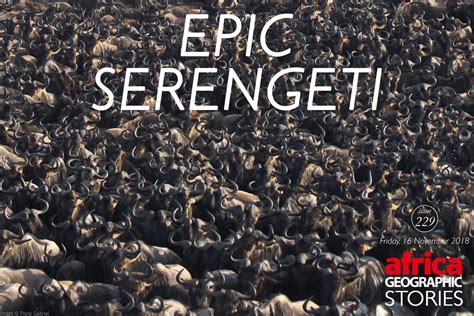 Epic Serengeti Africa Geographic Magazine Serengeti Epic Africa
