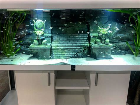For Those Who Love Themed Setups Aquarium Fish Tank Fish Tank Design