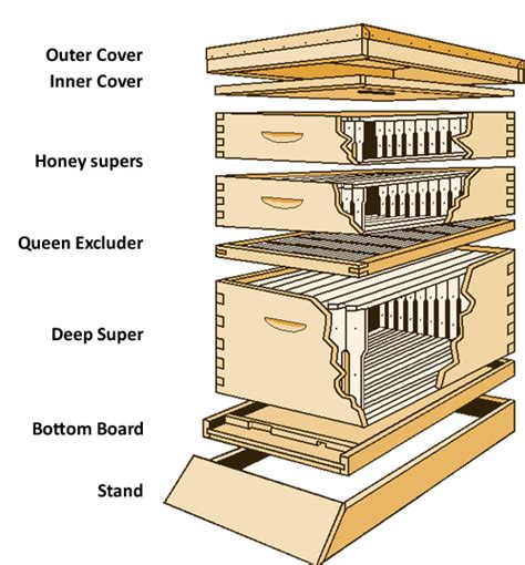养蜂新手蜂巢 蜂箱推荐朗氏蜂箱 水平顶杆式蜂箱 沃雷蜂箱 知乎