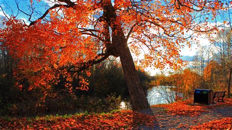 4k Autumn Season Wallpapers High Quality Download Free