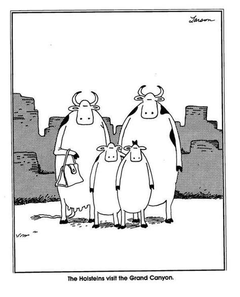 The Best Of The Far Side Part 1 Cows Rthefarside