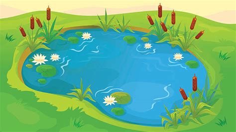 Clip Art Pond 20 Free Cliparts Download Images On Clipground 2024