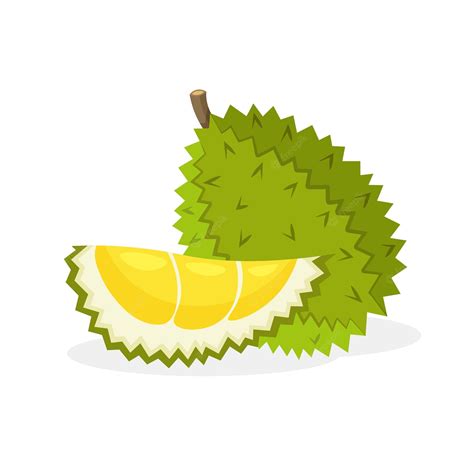 Premium Vector Durian Fruit Whole And Piece Of Fruitsvegan Food