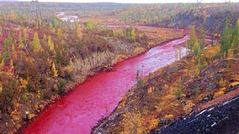 Investigation Launched After Russian River Turns Red