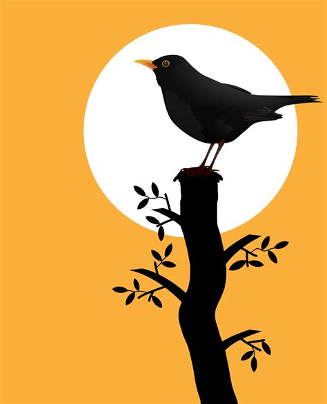 Bird Silhouette On Branch Free Stock Photo Public Domain Pictures