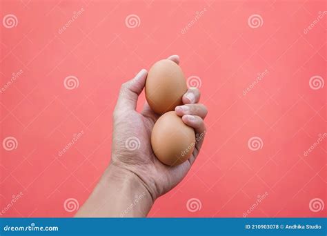 Hand Holding Grains Of Chicken Egg Isolated On Pink Background Stock