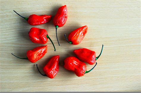 Ghost Pepper Pop Quiz! Test Your Knowledge - PepperScale