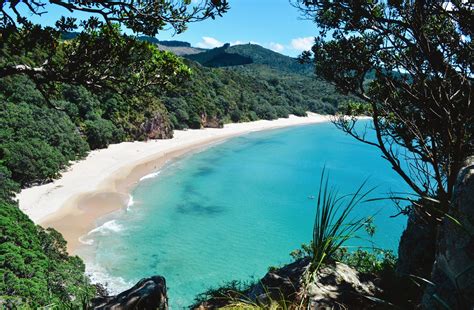 New Zealand Beaches Weird Beach