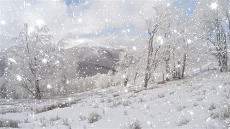 Sparkling Winter Wonderland With Falling Snow Sparkling Fresh White