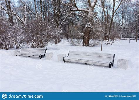 Snow Covered Benches In Winter Park With Bare Snowy Trees And Bushes