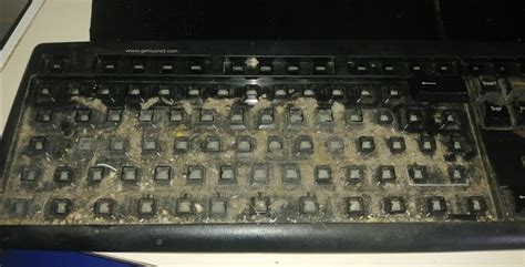Tih How Dirty My Keyboard With 10 Years Of Use Is Below The Keys Now I