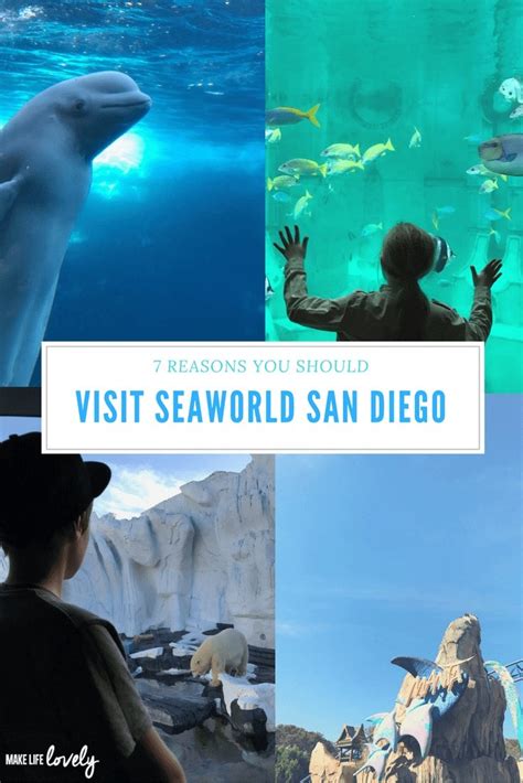 7 Reasons You Should Visit Seaworld San Diego Make Life Lovely