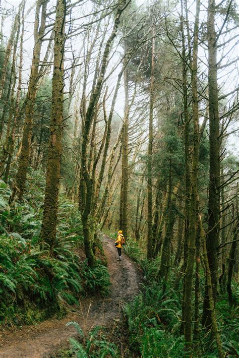 26 Jaw Dropping Oregon Coast Hikes That Should Be On Your Bucket List