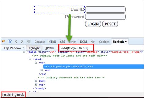 Xpath In Selenium How To Find Write Text Contains And