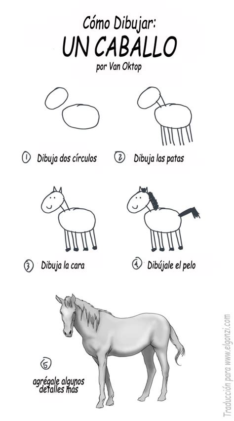 Cómo Dibujar Un Caballo En 5 Pasos Fácil Y Rápido Xd Horses Just