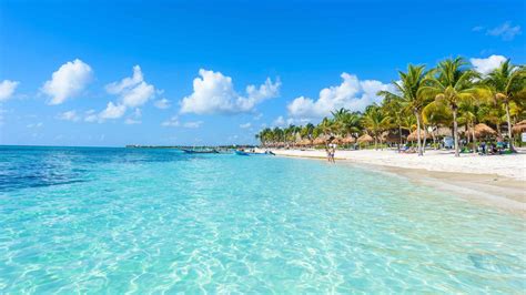 Cancún Dykning med hajer GetYourGuide