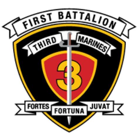 1st Battalion 3rd Marine Regiment Usmc Brands Of The World