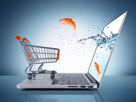 5 E Commerce Basics For Your Business In 2015 Liveadmins