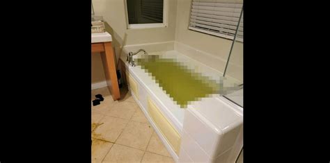 Aaron Carters Mother Shares Disturbing Photos Of Singers Bathroom To