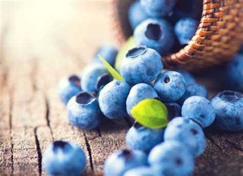 Startlap - www.startlap.hu | Brain boosting foods, Food, Blueberry