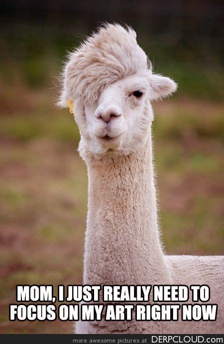 Misunderstood Emo Alpacaanother Animal With Better Hair Than Me