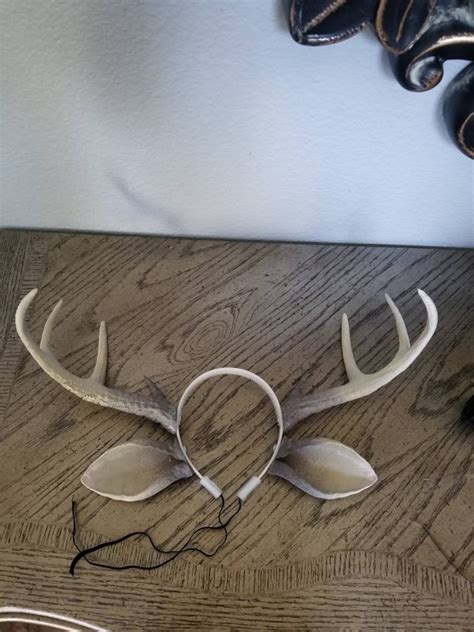 New Arrival Realistic Doe Deer Antlers Horns And Optional Etsy