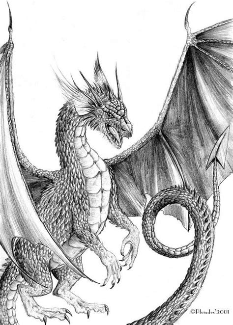 Výsledek obrázku pro dragon drawing Dragon drawing Dragon sketch