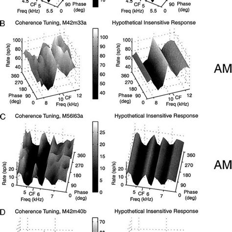 Temporal Coherence Measures For Am At Multiple Carrier Frequency And