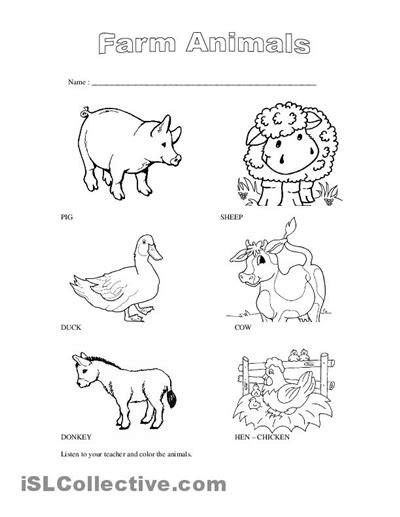 Blank Colouring Worksheet Of Domestic Animals For Kids Coloring