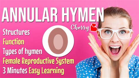 Annular Hymen Shapes Functions Different Types Of Hymen Anatomy